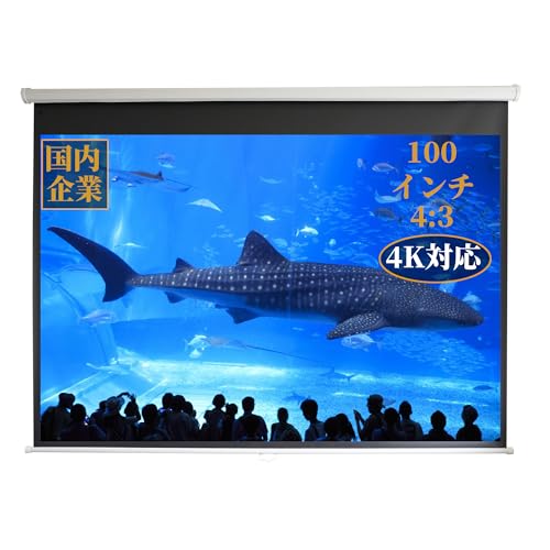 Amazon | TOP.STAR 100インチ4:3 プロジェクタースクリーン (100